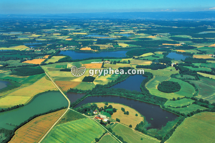 Paysage de la Dombes - gryphea.org